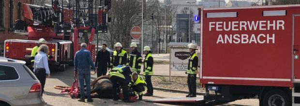 Großtierrettung in der Eyber Straße