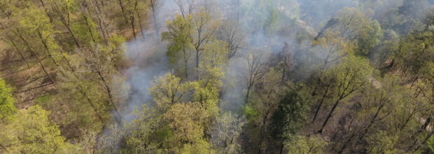 Waldbrand am Bocksberg